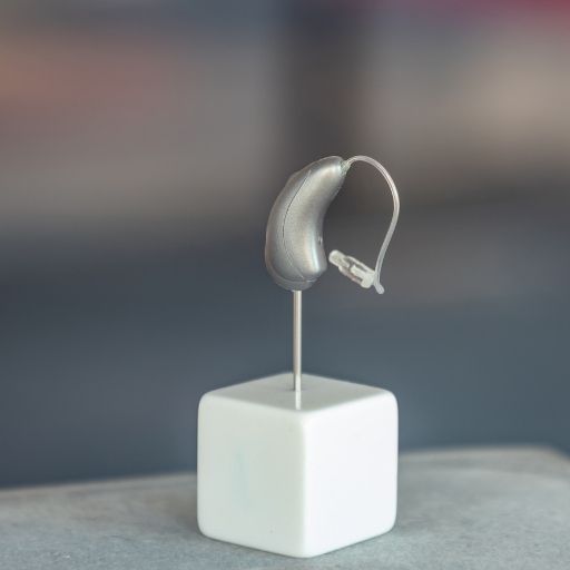 Digital Hearing Aids